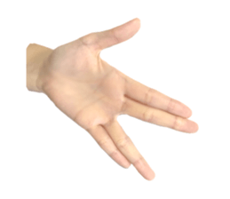 left hand sticker #13566341