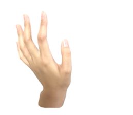 left hand sticker #13566342