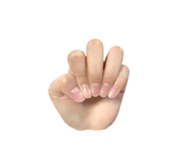 left hand sticker #13566345