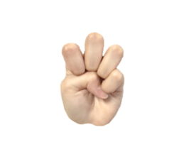 left hand sticker #13566349