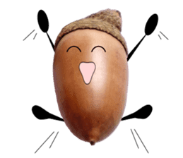 Acorn-chan of acorns sticker #13566540