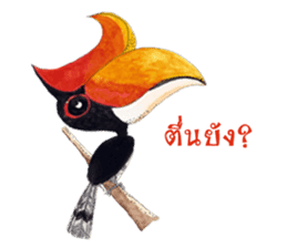 Picky Hornbill sticker #13567414