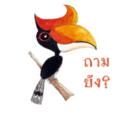 Picky Hornbill sticker #13567421