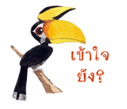 Picky Hornbill sticker #13567423