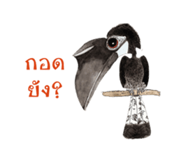 Picky Hornbill sticker #13567432