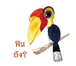 Picky Hornbill sticker #13567440