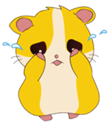 Lovely Guinea Pigs sticker #13567770