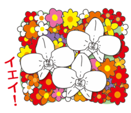 "Happy Bouquet" sticker #13568019