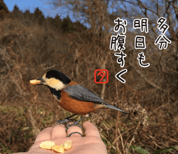 poem Sticker sticker #13569025