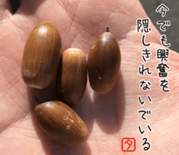 poem Sticker sticker #13569034