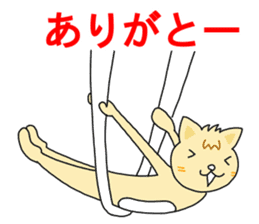 Aerial Yoga and Yoga by Cat. sticker #13569443