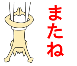 Aerial Yoga and Yoga by Cat. sticker #13569477