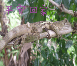 Cheng Cheng landscape photos sticker #13569961