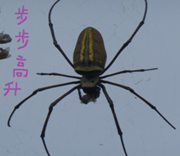 Cheng Cheng landscape photos sticker #13569962