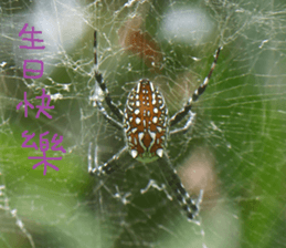 Cheng Cheng landscape photos sticker #13569963