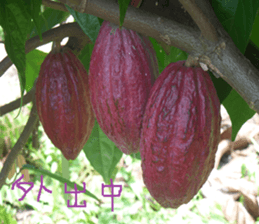 Cheng Cheng landscape photos sticker #13569965