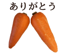Stock carrots sticker #13570086