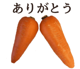 Stock carrots sticker #13570086