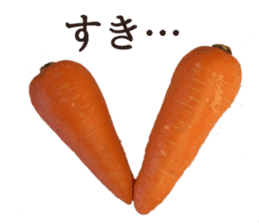 Stock carrots sticker #13570087