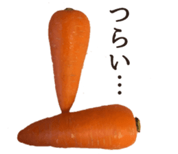 Stock carrots sticker #13570088