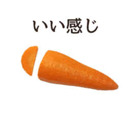 Stock carrots sticker #13570089