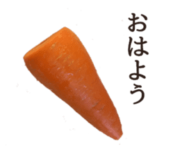 Stock carrots sticker #13570090