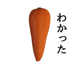 Stock carrots sticker #13570092
