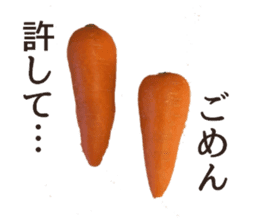 Stock carrots sticker #13570098