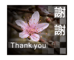 Photo sticker 1 sticker #13570502