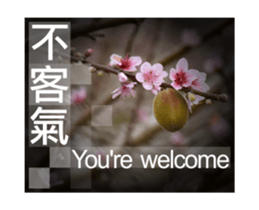 Photo sticker 1 sticker #13570503