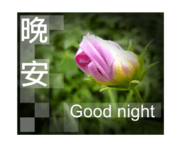 Photo sticker 1 sticker #13570505