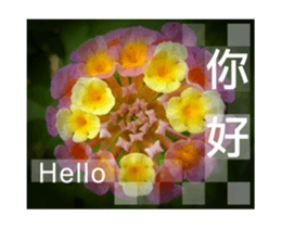 Photo sticker 1 sticker #13570506