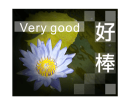 Photo sticker 1 sticker #13570508