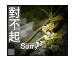 Photo sticker 1 sticker #13570509