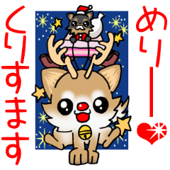 Cute puppy's New year!