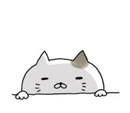 Sticker for cat lovers 3 sticker #13570656