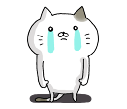 Sticker for cat lovers 3 sticker #13570660