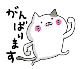 Sticker for cat lovers 3 sticker #13570662