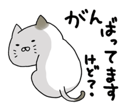 Sticker for cat lovers 3 sticker #13570664