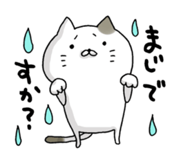 Sticker for cat lovers 3 sticker #13570670