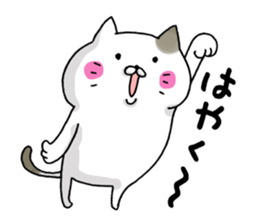 Sticker for cat lovers 3 sticker #13570671