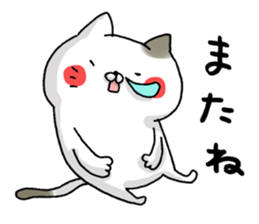 Sticker for cat lovers 3 sticker #13570677