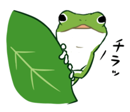 green frog and tadpoles sticker #13570895