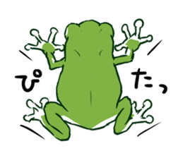 green frog and tadpoles sticker #13570897