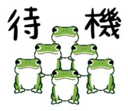 green frog and tadpoles sticker #13570902