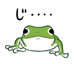 green frog and tadpoles sticker #13570904