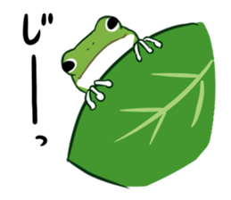green frog and tadpoles sticker #13570907