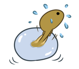 green frog and tadpoles sticker #13570911