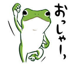 green frog and tadpoles sticker #13570917
