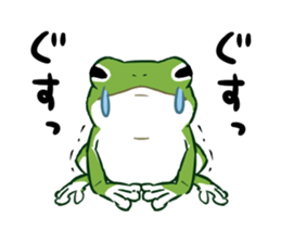 green frog and tadpoles sticker #13570920